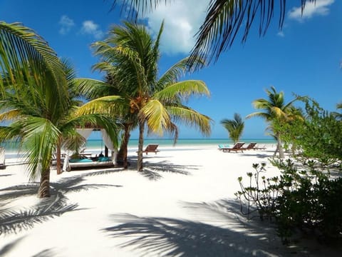 Private beach nearby, white sand, sun loungers, beach umbrellas