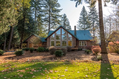 View of backyard and house.