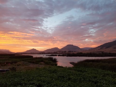 At the end of the day, There is no other place I would rather come home to.