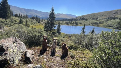 The Red Dogs at nearby Crystal Lake.