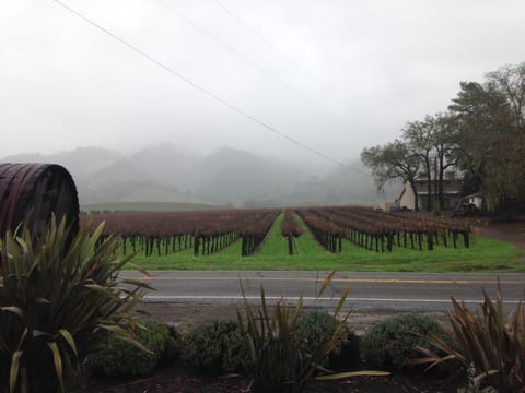 Winter in the valley.