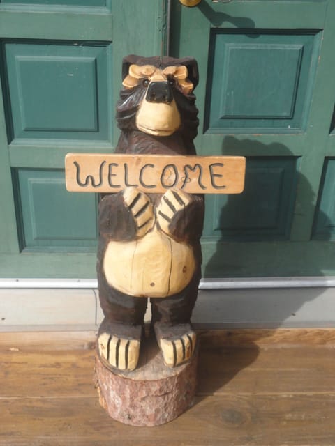 Welcome
Pleas take time to look at our traveler's reviews.