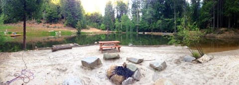 Lakeside beach area with granite fire pit, picnic table. 