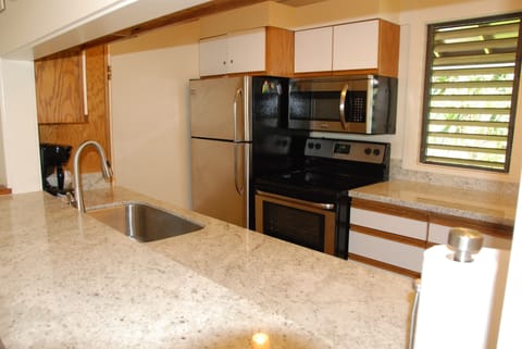 New granite counters, sink and stainless appliances.