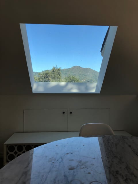 View from dining room table