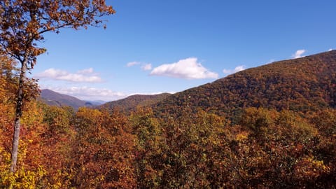 Enjoy the fall colors from the deck