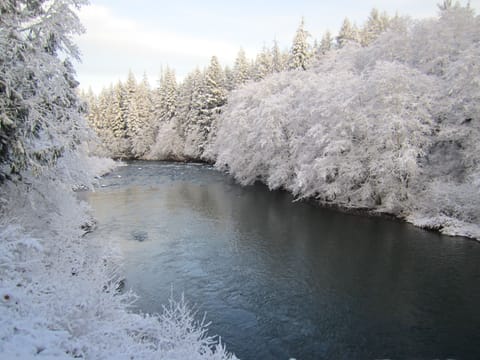 The Sol Duc on a snowy day