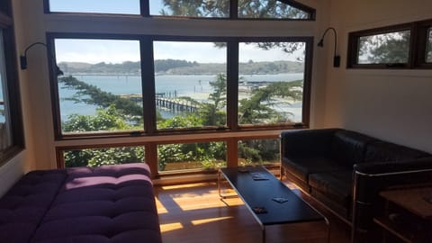 This sunny cozy living room is a great place to relax