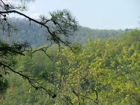 View to Northwest from deck