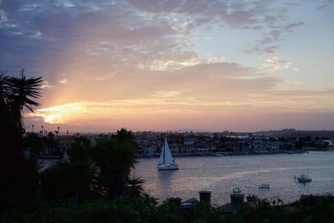 Regular sailing regattas are a sight to behold in Newport Harbor, with boats of all shapes and sizes.