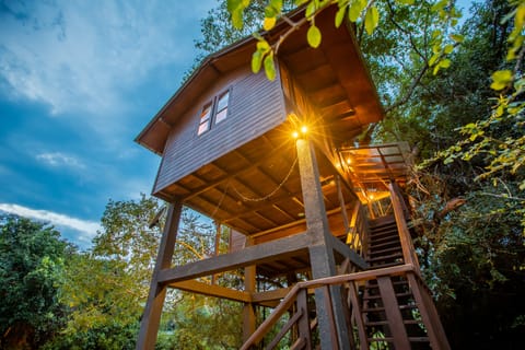 Deluxe Tree House, 1 Queen Bed, Non Smoking, Mountain View | Minibar, in-room safe, desk, blackout drapes