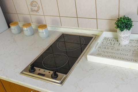 Fridge, stovetop, electric kettle, griddle