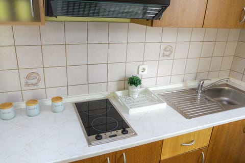 Fridge, stovetop, electric kettle, griddle