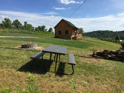 Picnic area at the Cottage, firewood provided