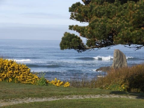 Ocean across from the house
