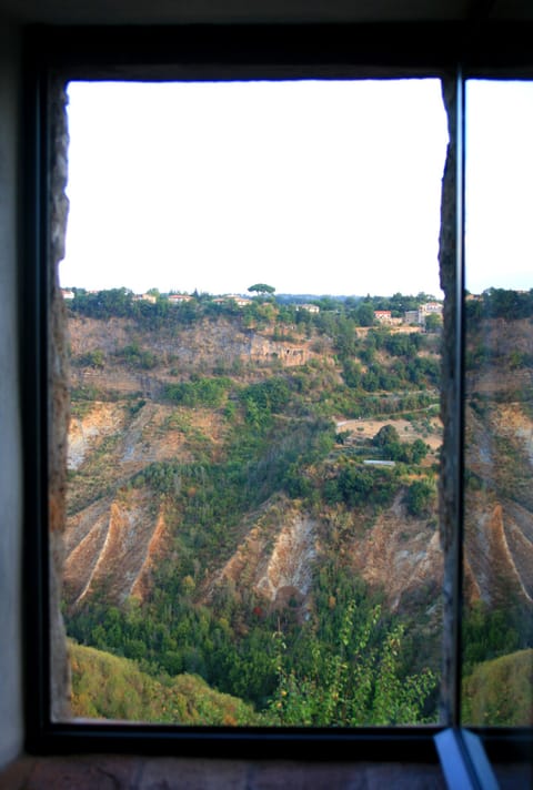 Bedroom suite 3 window view