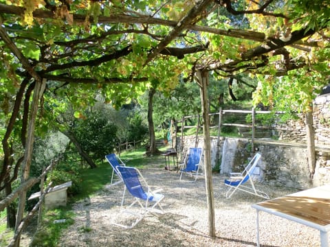 vine pergola for al fresco dining: private peaceful but 5 mins to town,beach etc