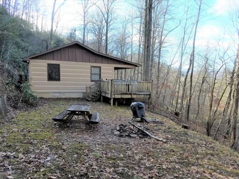 Campfire ring and charcoal grill