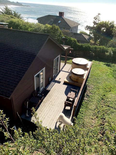 View from tree platform