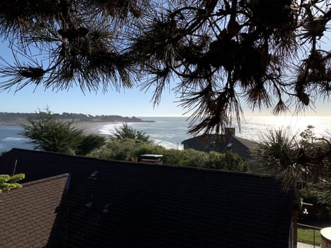 On the Tree Platform