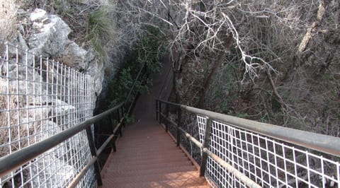 Stairs going down to creek