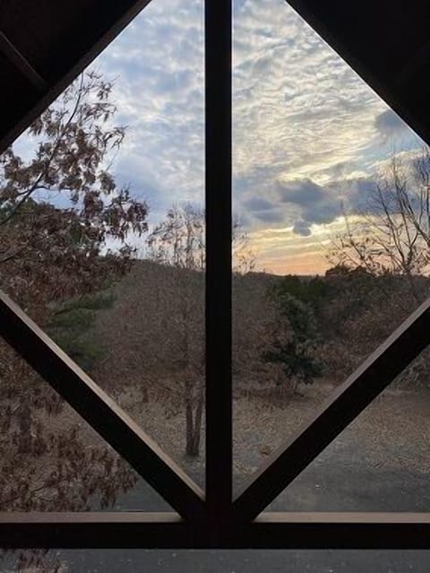 Cabin back deck roof view