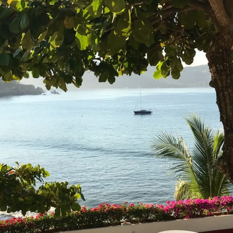 Dawn, view from the house