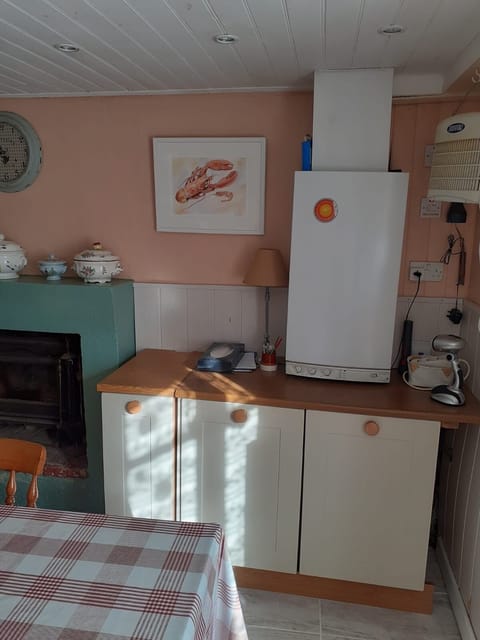 Central Heating boiler