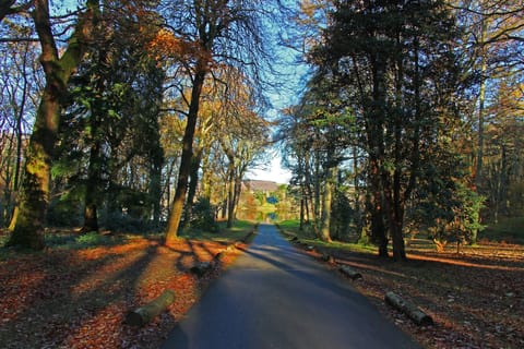 Castle Kenedy Gardens