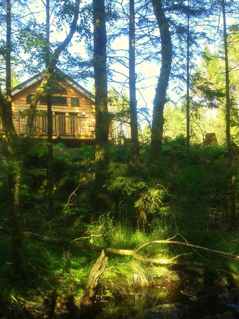 View of cabin from burn