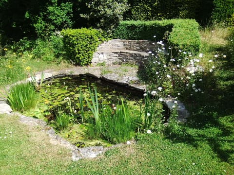 The shallow pond is loved by children and frogs alike
