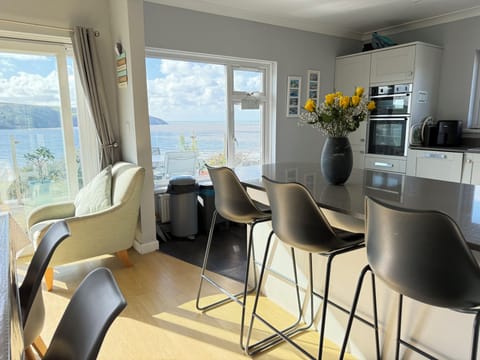 Kitchen and breakfast bar