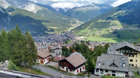 Summer panorama