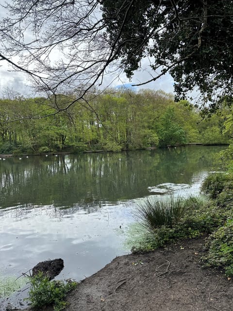 Lake - 5 mins walk - out the cottage turn R - down the path - T Country Park