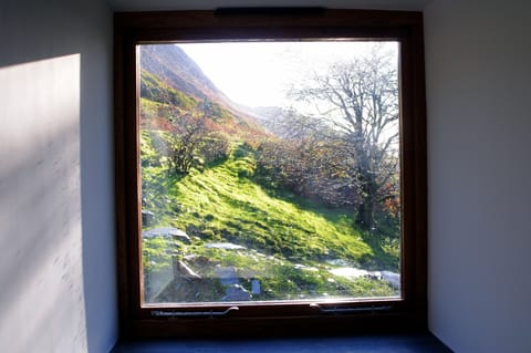 Wonderful picture windows