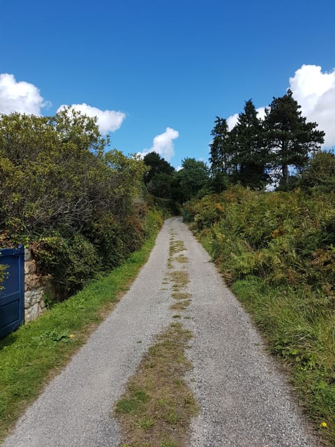 Lane from the beach to the house