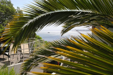 View from the barbecue area