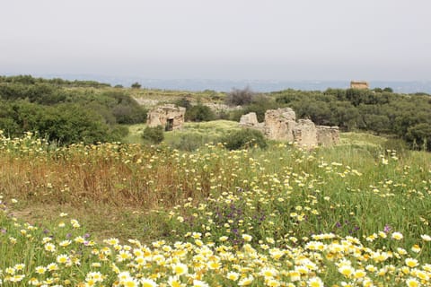 Ancient ruins and wildflowers at Aptera