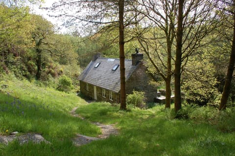 path down to Hafod cottage
