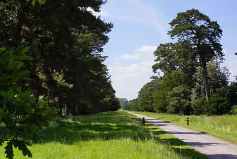 The magnificent Monnington Walk where guests walk, jog or cycle or birdwatch