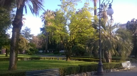 Property grounds