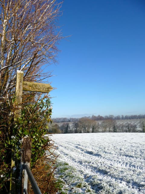 footpath across the lane