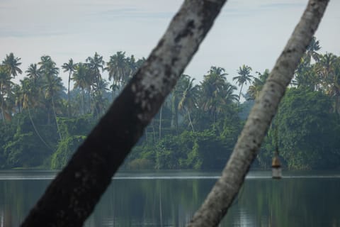 Land view from property