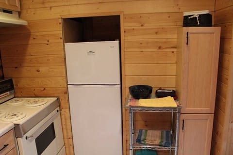 Fridge and Storage area in Kitchen