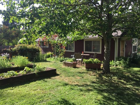 View of the exterior showing the patio under the maple tree.