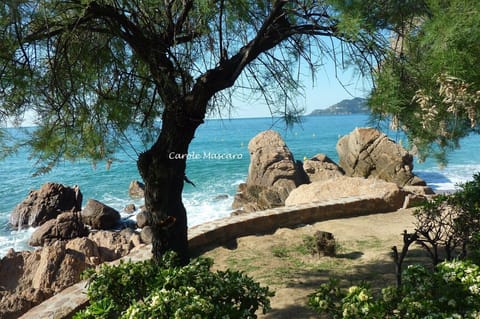 Water garden a few steps away