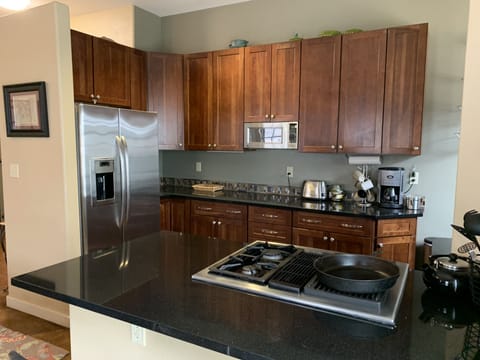 Kitchen view from Patio Door.