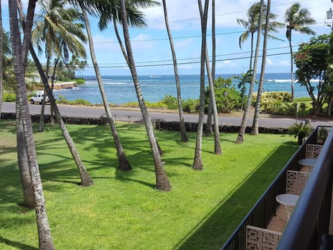 View of the ocean and Prince Kuhio Park from the lanai