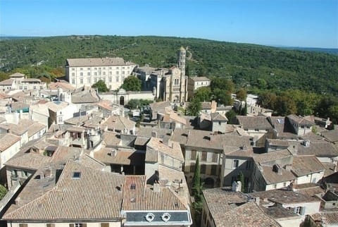 Rooftops of Uzes