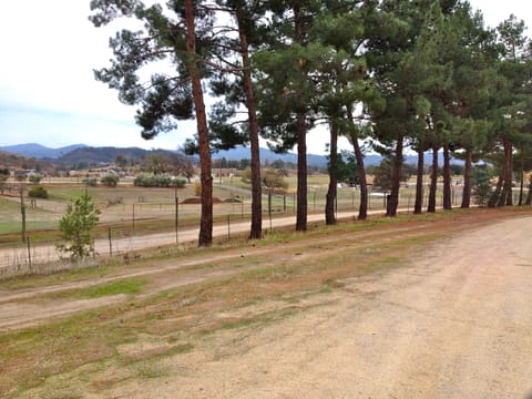 Front drive to house